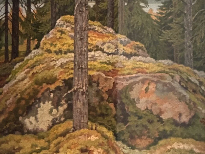 1876-Stefan Johansson - Roccia muschiosa